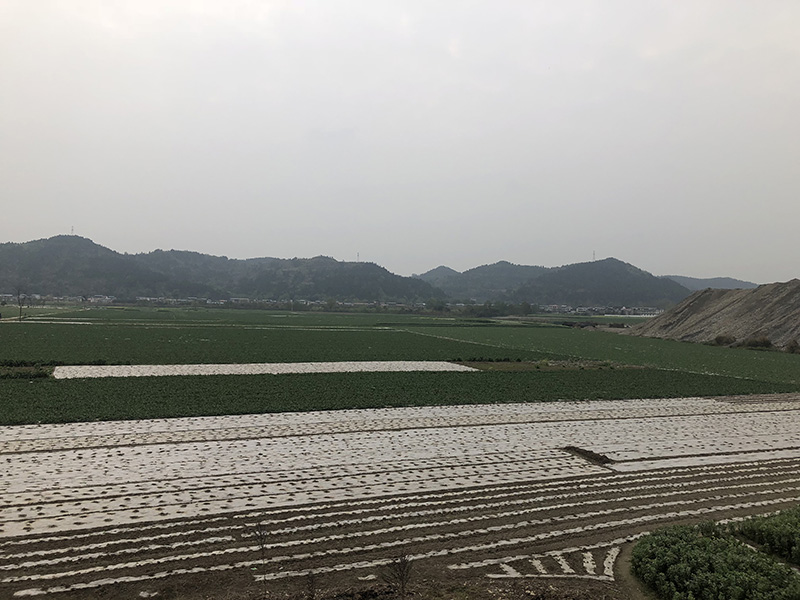 市、縣領導現(xiàn)場調研天馬50萬噸玻瓶項目(圖7)